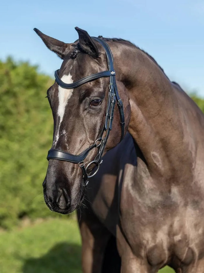 Black / Pony