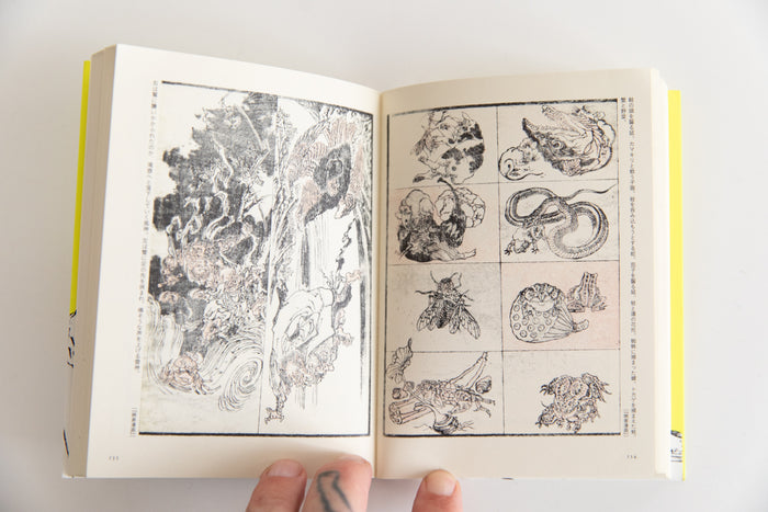 PICTURE BOOKS OF KAWANABE KYOSAI