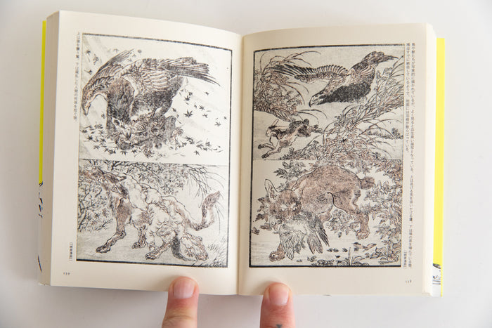 PICTURE BOOKS OF KAWANABE KYOSAI