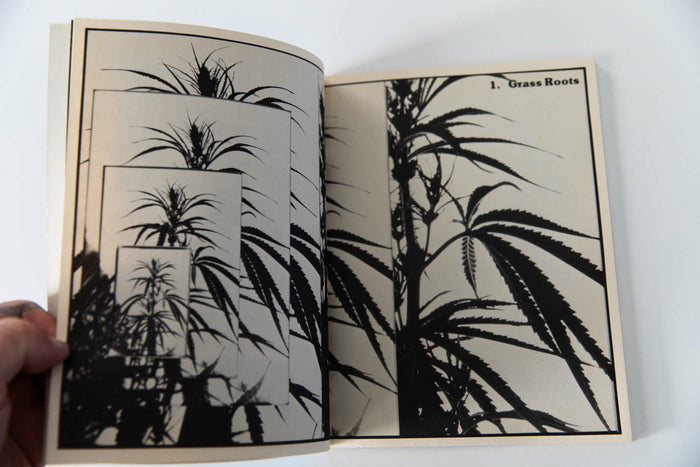 THE BOOK OF POT